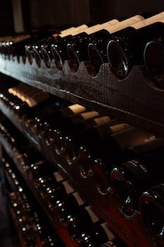 Quels sont les avantages d'avoir une cave à vin chez soi ?